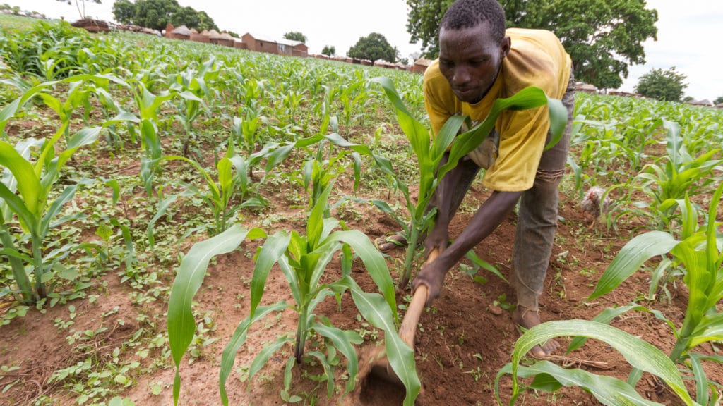 Agriculture Training