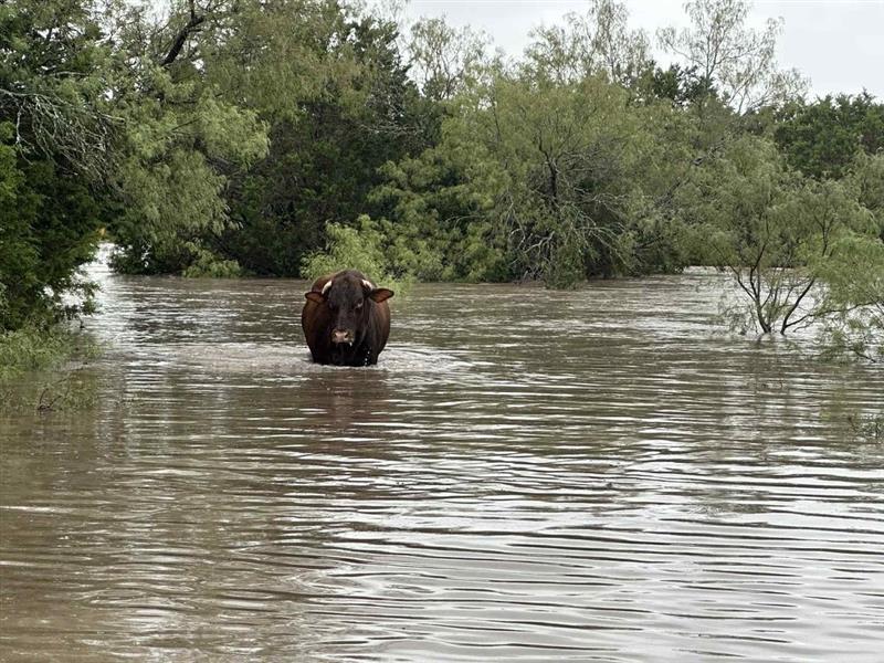 U.S. Storm Response