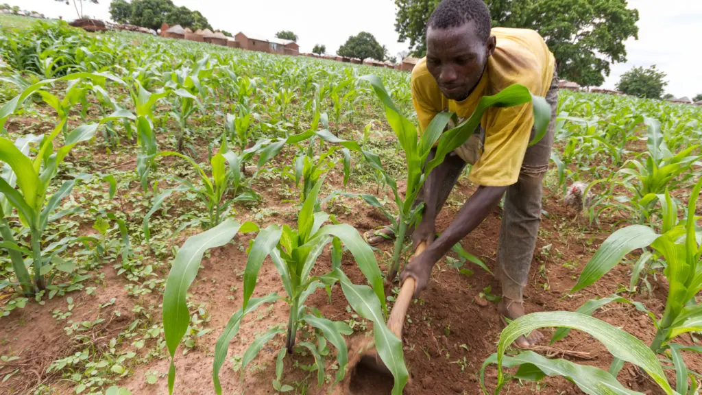 Agriculture Training
